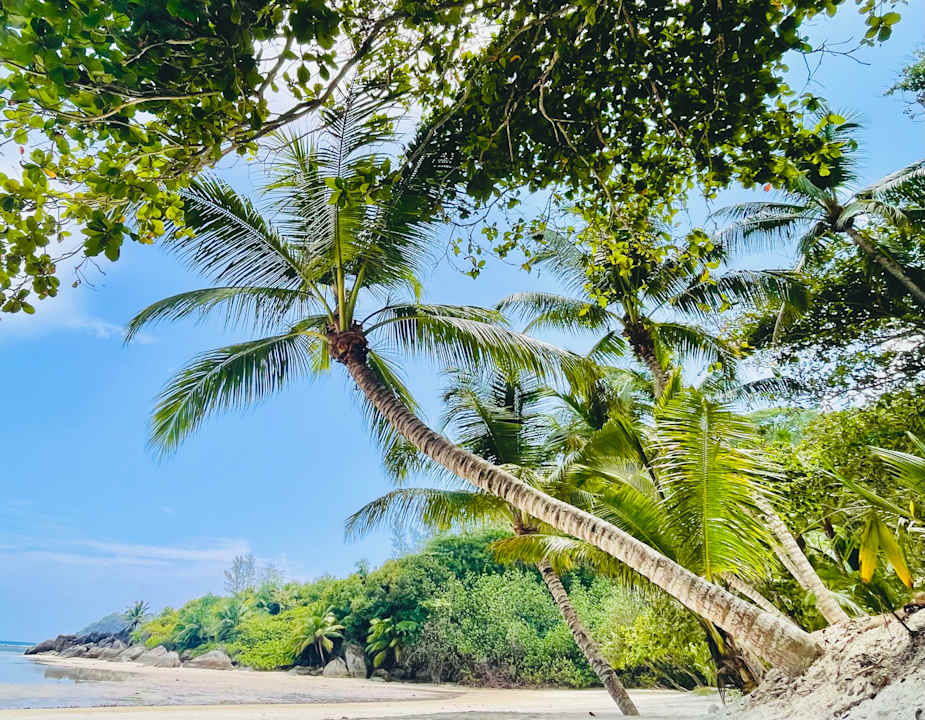 Sonstiges Constance Ephelia