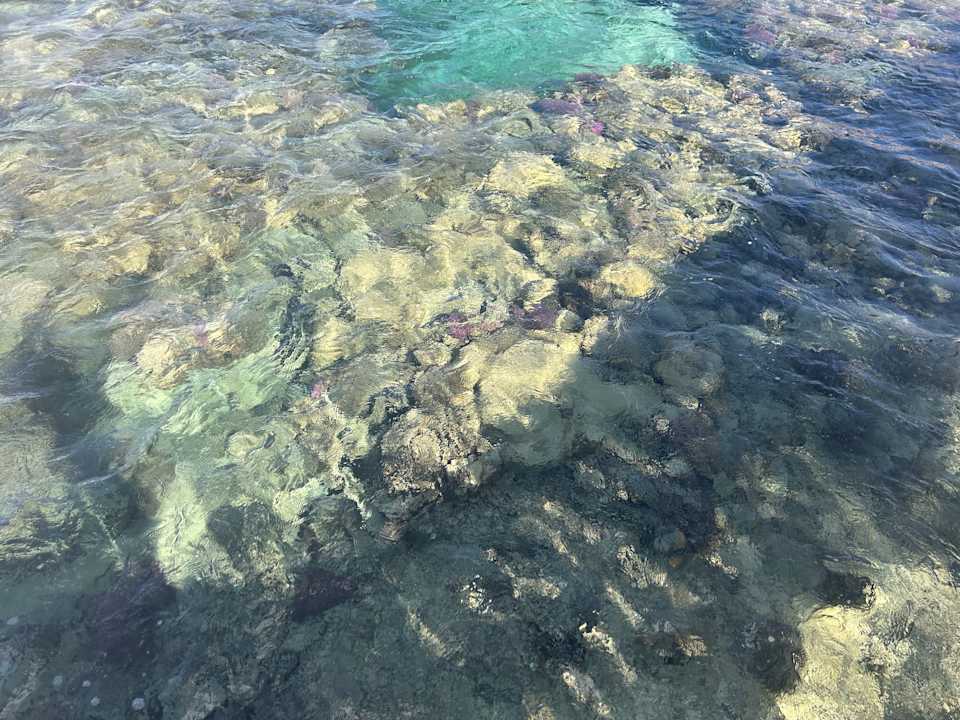 Strand Steigenberger Coraya Beach - Adults only