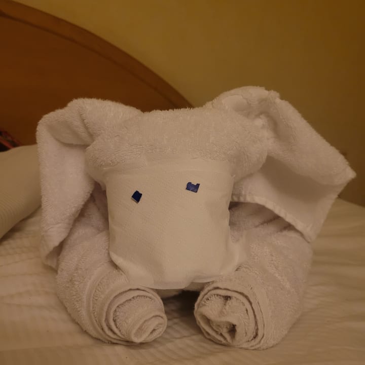 Zimmer Ghazala Gardens