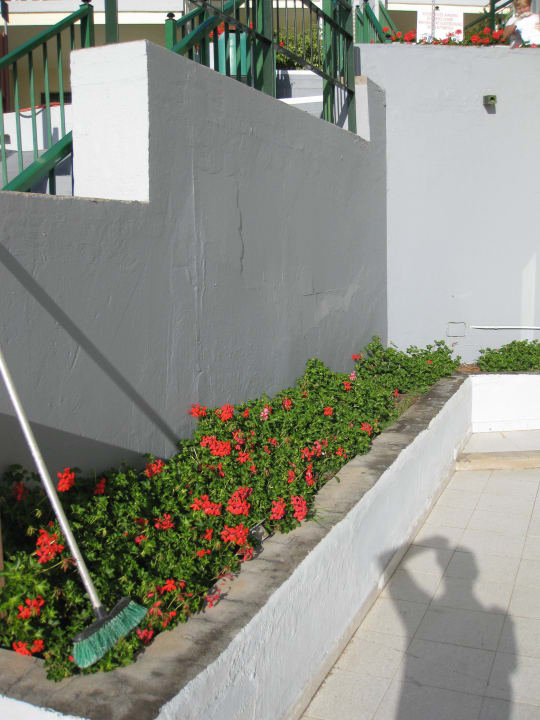 Terrasseausblick   Hotel Green Ocean