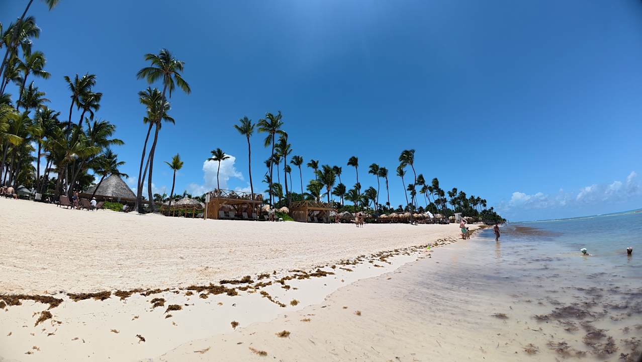 Strand Dreams Flora Resort & Spa - All Inclusive