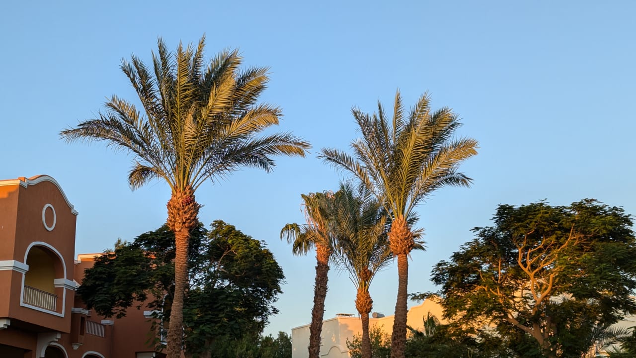 Ausblick Sentido Caribbean World Soma Bay