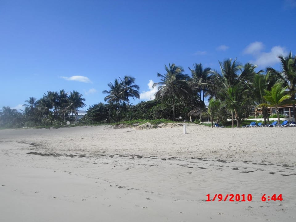Der nahe gelegene Strand Viva Tangerine by Wyndham - All Inclusive Resort