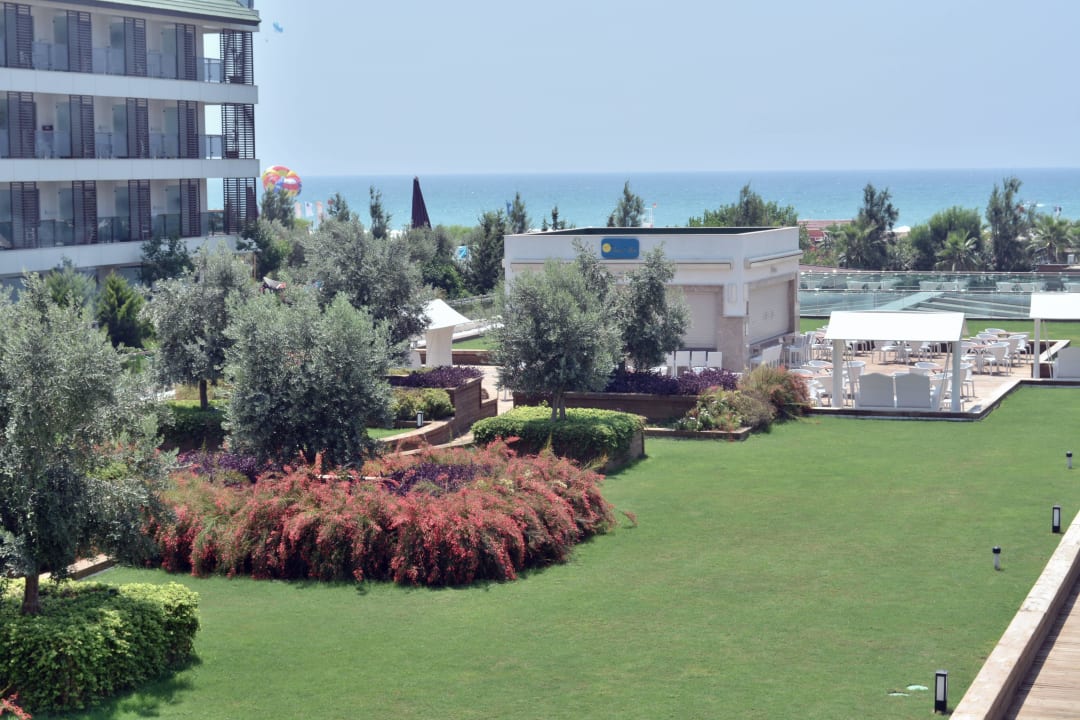 Trendy Verbena Sentido Trendy Verbena Beach