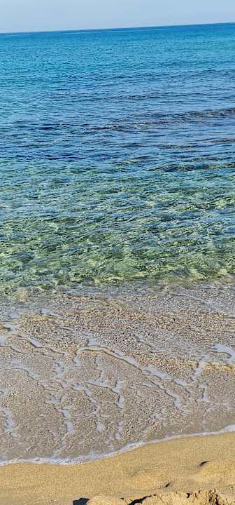 Strand allsun Hotel Carolina Mare