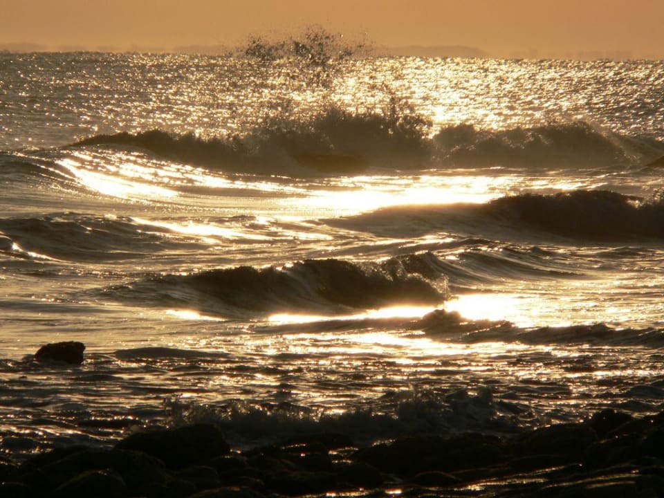 Onhe Worte Rixos Alamein