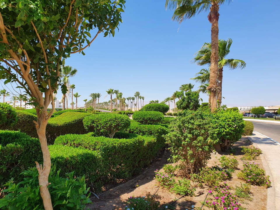 Gartenanlage Cleopatra Luxury Beach Resort Makadi Bay - Adults only