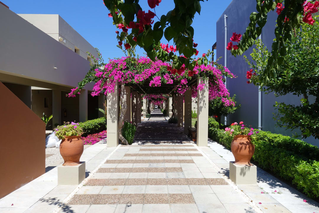 Gartenanlage Astir Odysseus Kos Resort & Spa