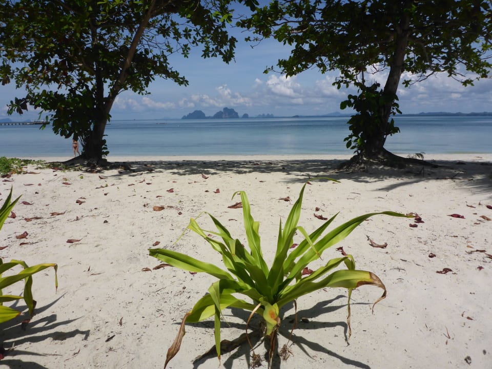 Ausblick von unserem Bungalow Koh Mook Sivalai Beach Resort