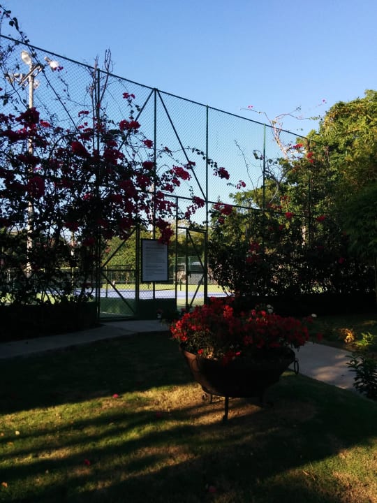 Garten Decameron Baru