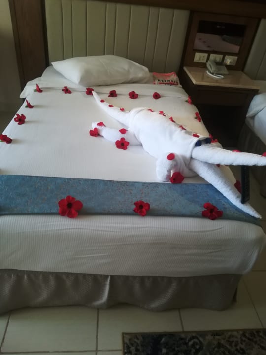 Zimmer Serenity Alpha Beach