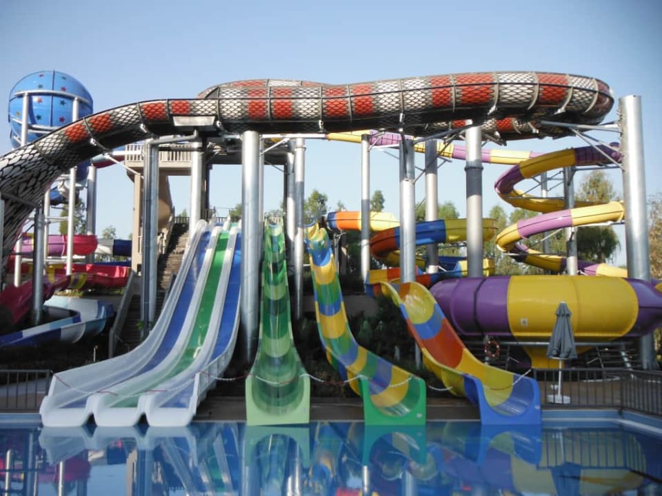 Royal Seginus Royal Seginus