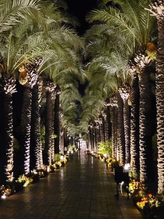 Gartenanlage TUI BLUE Palm Garden