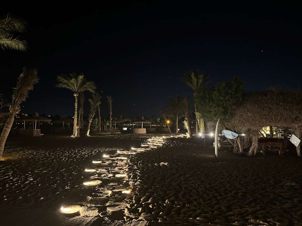 Sonstiges Desert Rose