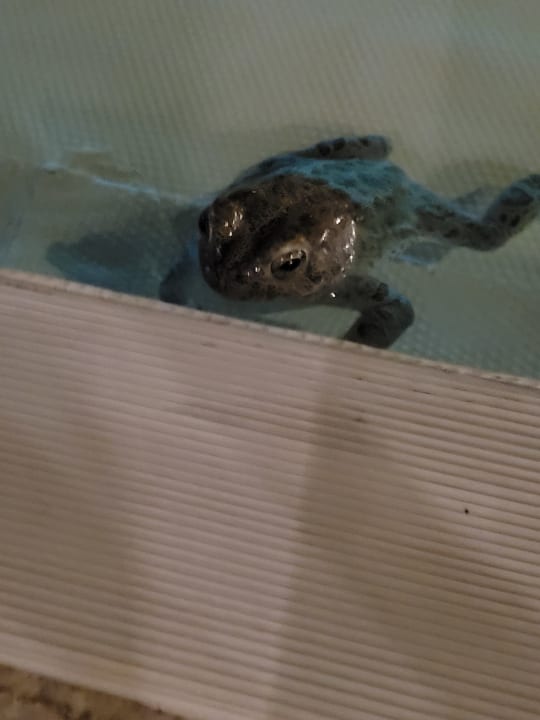 Sonstiges Aldiana Club Rocca Nettuno Calabria