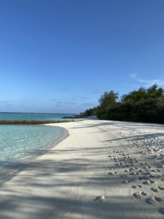 Strand Summer Island Maldives