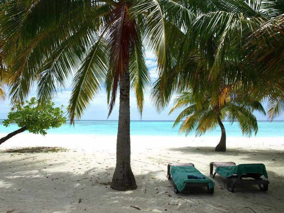 Ausblick von der Terrasse unserer JBV Kuredu Island Resort & Spa