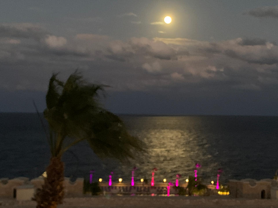 Ausblick Pickalbatros Citadel Resort