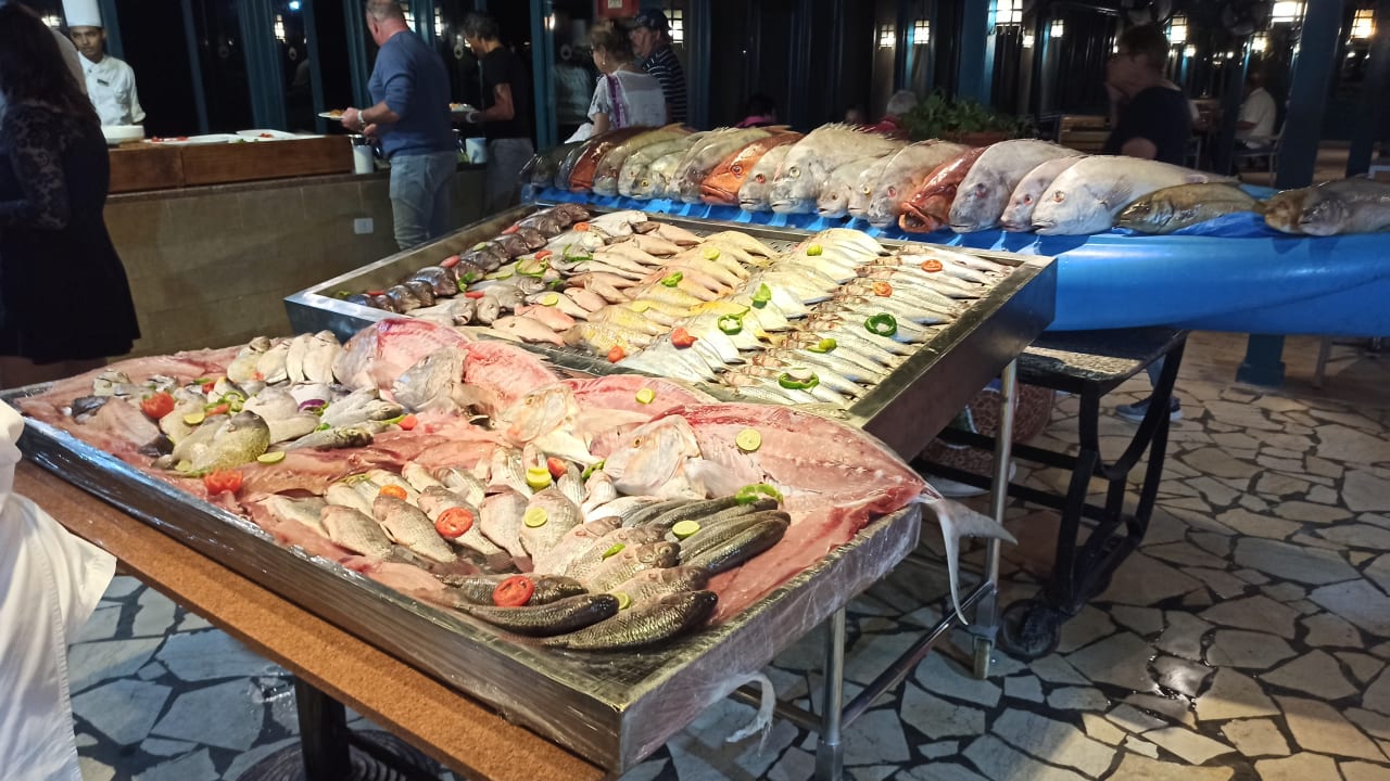 Gastro Club Paradisio El Gouna, Red Sea