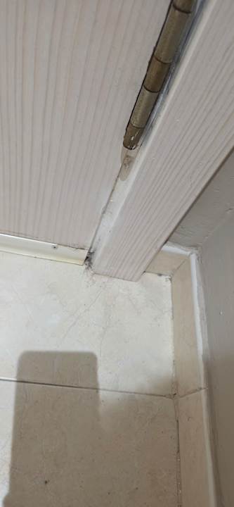 Zimmer Bull Dorado Beach & Spa