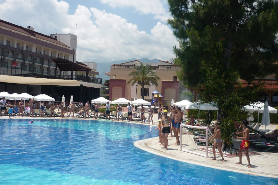 Аниматоры  зажигают! Crystal Aura Aqua Collection