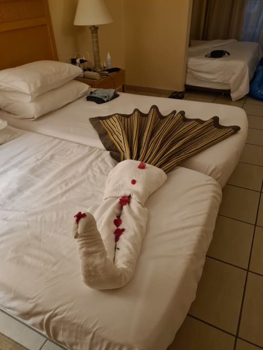 Zimmer Hotel JAZ Makadi Star & Spa