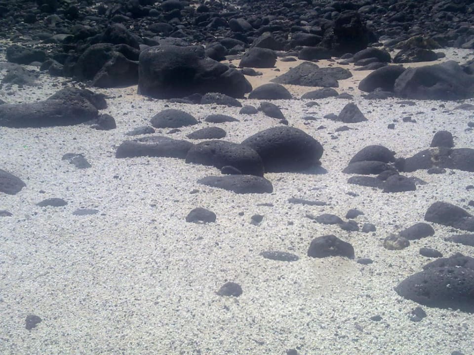 Strandabschnitt Alua Suites Fuerteventura