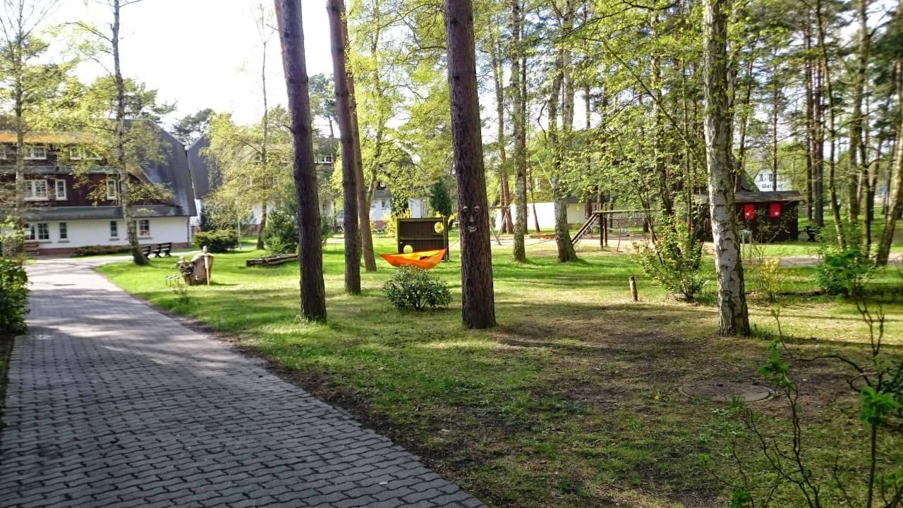 Waldhof 2015 TUI SUNEO Kinderresort Usedom