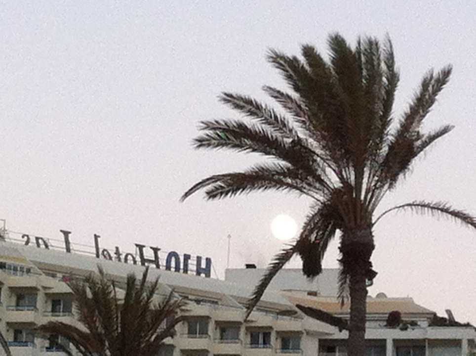 La Vue - Hôtel H10 Las Palmeras 2013  H10 Las Palmeras