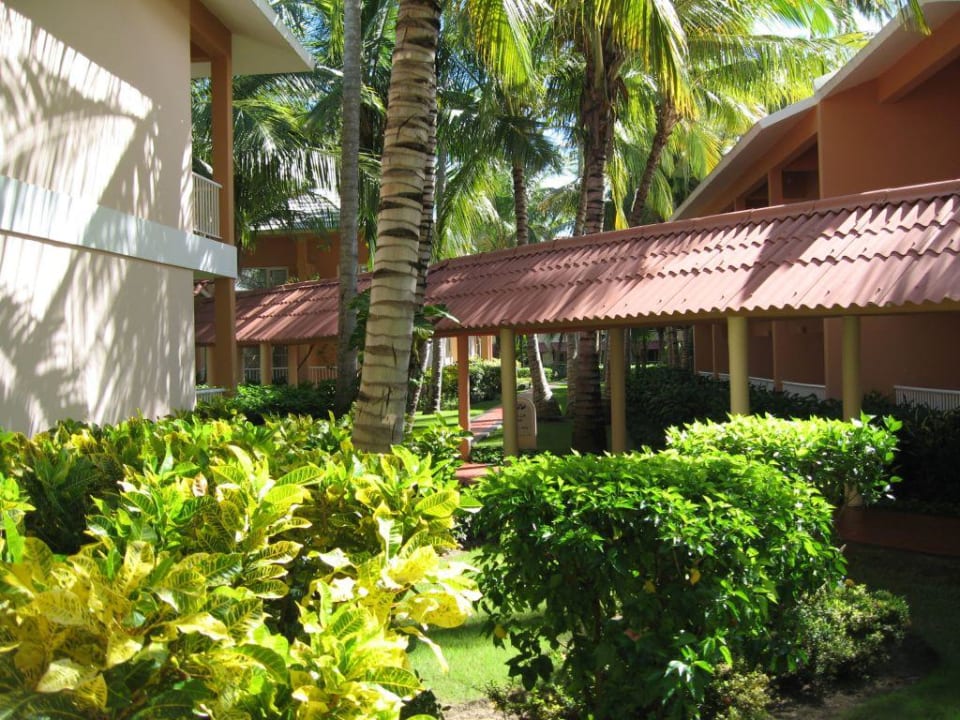 Einer von vielen Gängen Hotel Grand Palladium Palace Resort, Spa & Casino