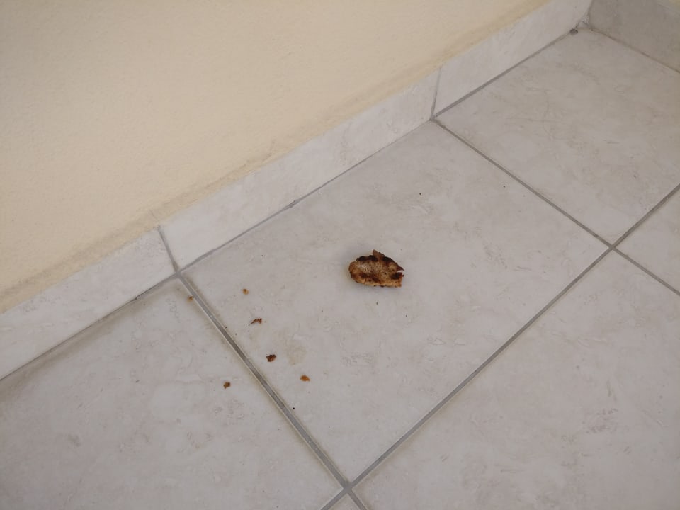 Sonstiges Solivia Hotel