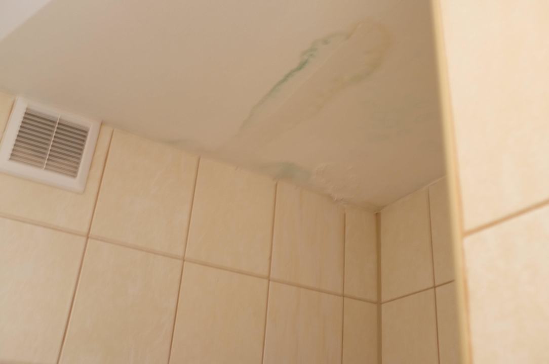 Łazienka, sufit Hotel Skalny Spa Bieszczady