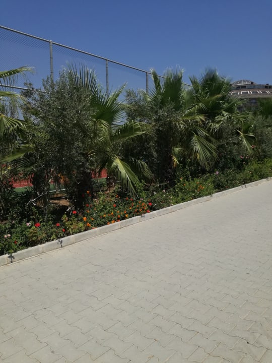 Gartenanlage Sunmelia Beach Resort