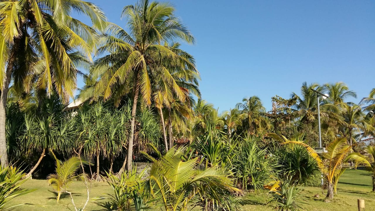 Aureum Palace Resort Hotel Aureum Palace Resort