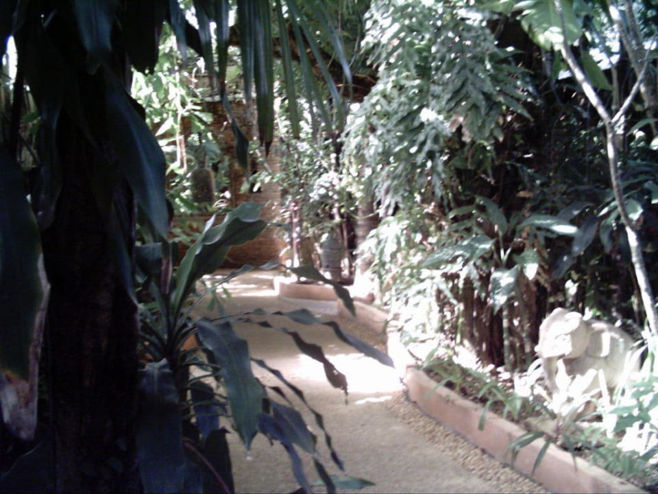 Weg zum Zimmer Hotel Sawasdee Village