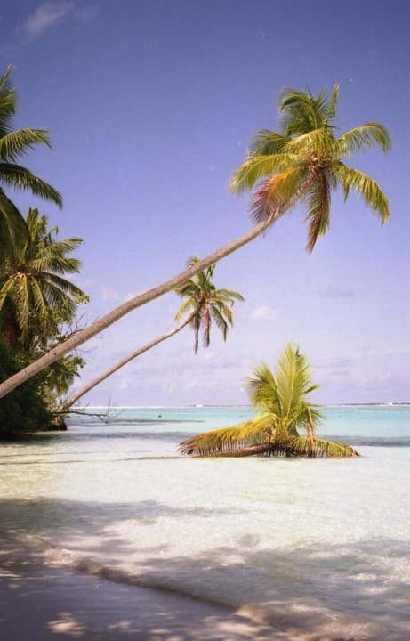 Meerufenfushi Nord Ost Meeru Maldives Resort Island