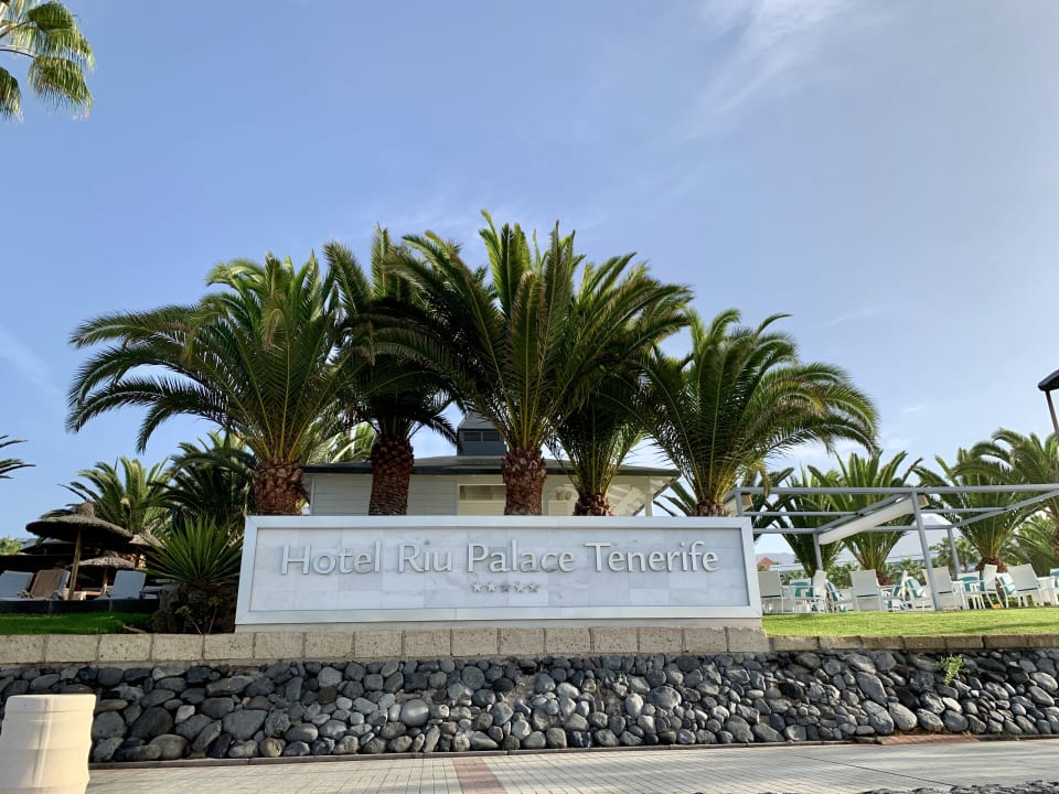 Gartenanlage Hotel Riu Palace Tenerife