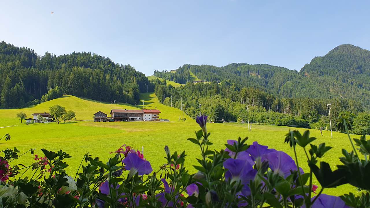 Ausblick Pension Alpina