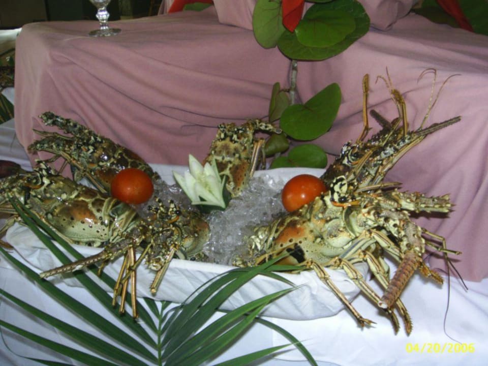 Langusten Wyndham Alltra Samana