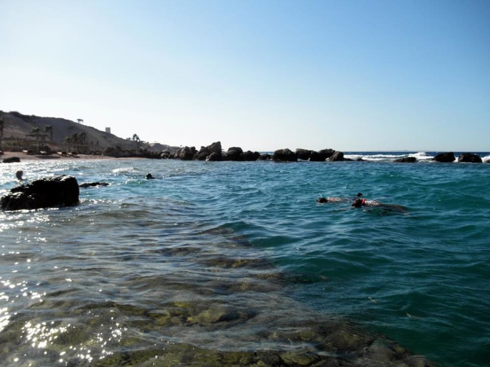 Королевская лагуна Pickalbatros Citadel Resort