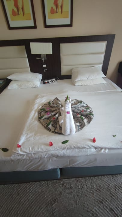 Zimmer Pickalbatros Palace Resort