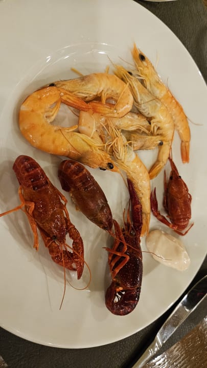 Gastro H10 Salauris Palace