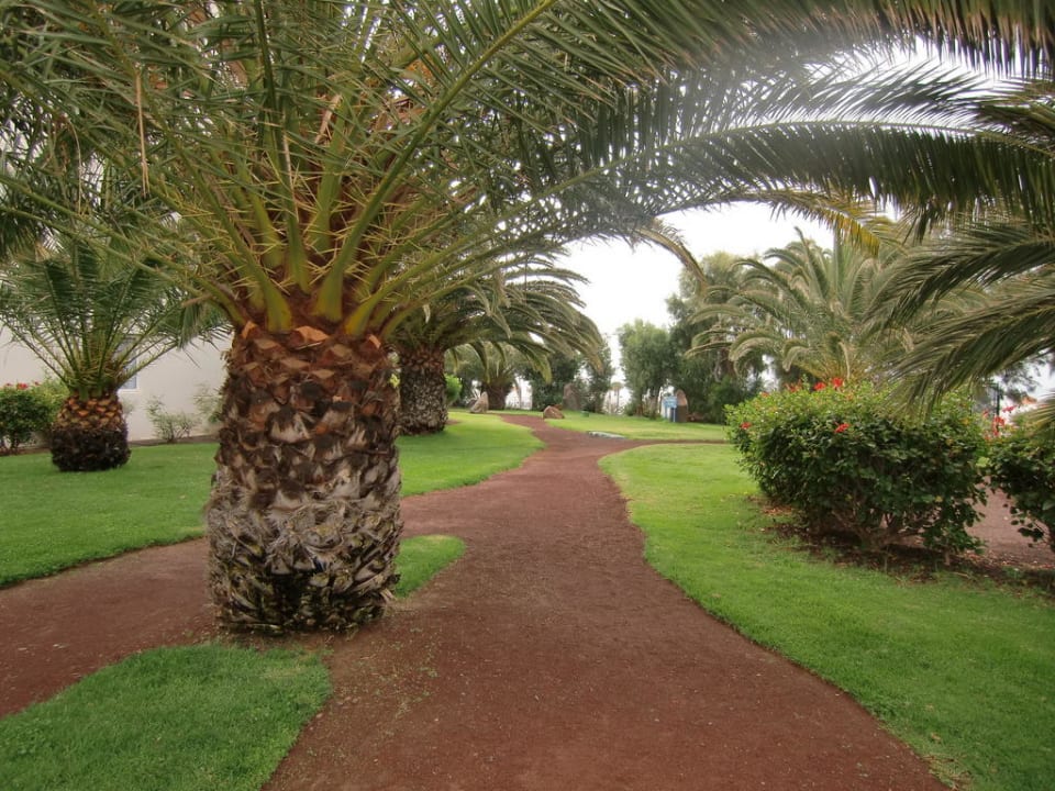 Palmengarten allsun App.-Hotel Esquinzo Beach
