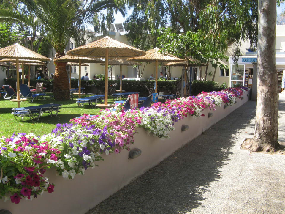 Sehr gepflegter Weg Hotel Corissia Princess