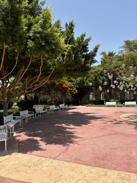 Gartenanlage Desert Rose