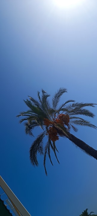 Ausblick Oz Hotels Incekum Beach