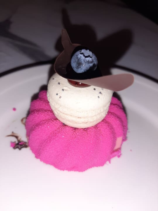 Gastro Seaden Quality Resort & Spa