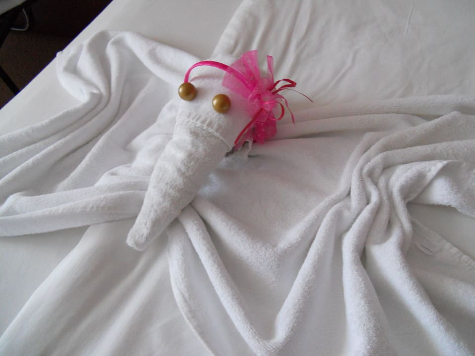 Strange butterfly Odessos Park Hotel