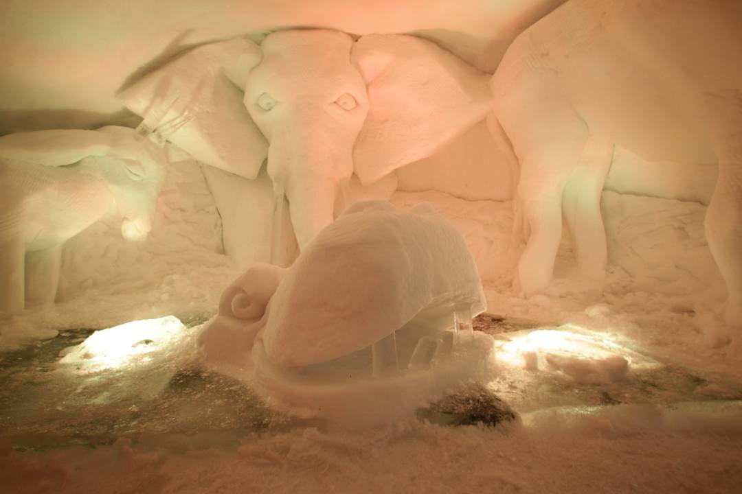 Ice land Hotel Alpeniglu