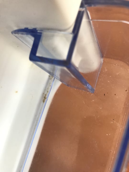 Zimmer Hotel TRH Paraiso